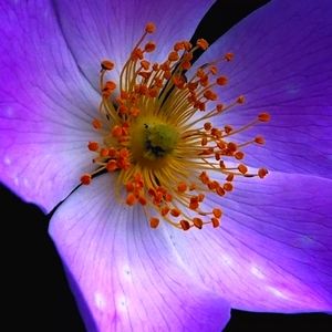 🤍 send Me your questions